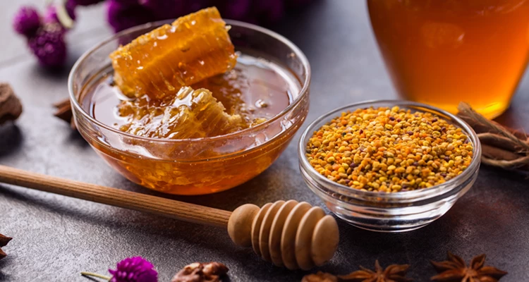 Propolis – das Schutzschild aus dem Bienenstock